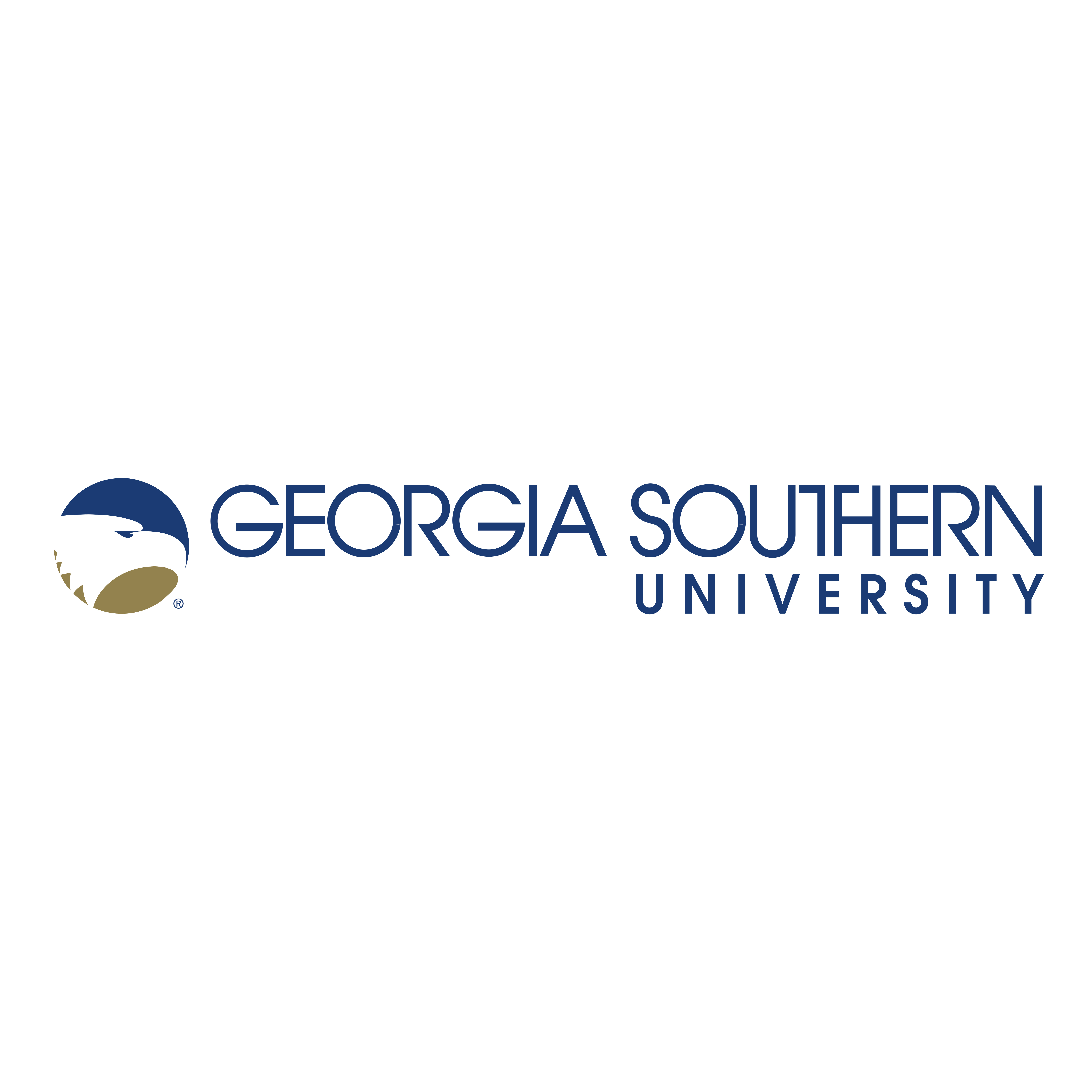 Georgia Southern University